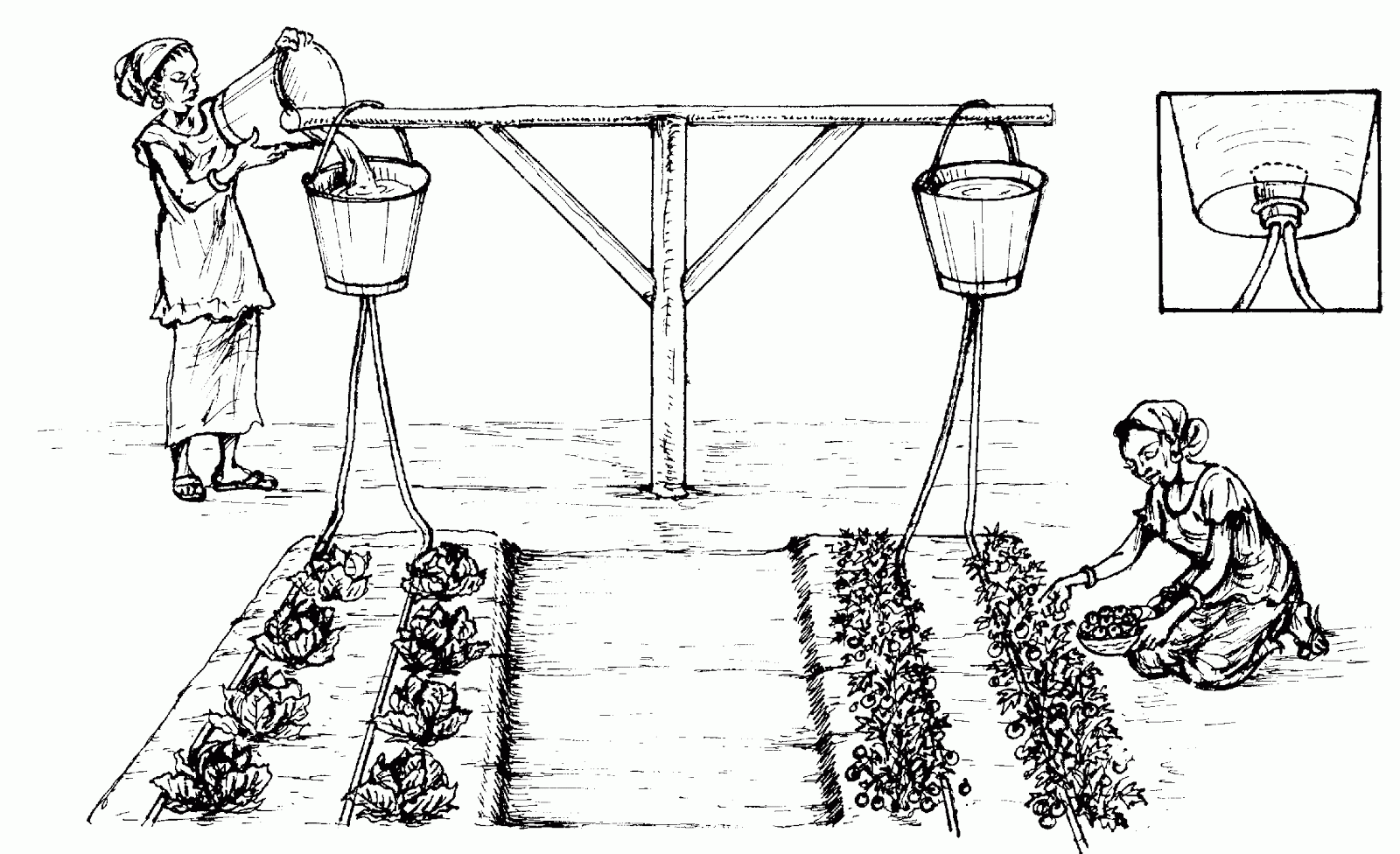 drip_irrigation.gif
