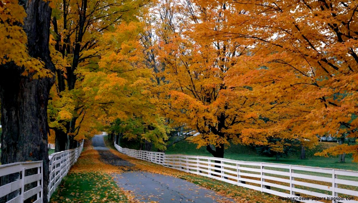 HD Landscape Wallpapers 23 1366x768 Wallpaper Download HD HD Landscape Wallpapers 23 1366x768 Wallpaper Download HD