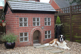 Thai Panda Dog Owner Spends 1 800 Building A Kennel Which Is An