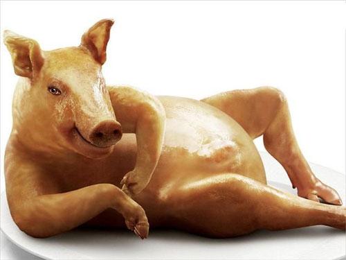 88+ Gambar Babi Kata Lucu HD 88+ Gambar Babi Kata Lucu HD