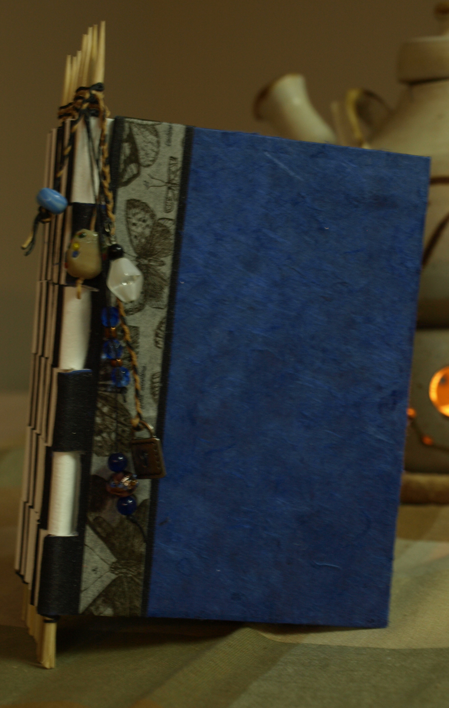 Dragonfly Dreamers Piano Hinge book