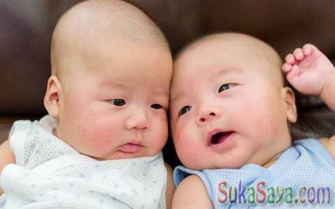 Cara Membuat Anak Kembar Cara Membuat Anak Kembar