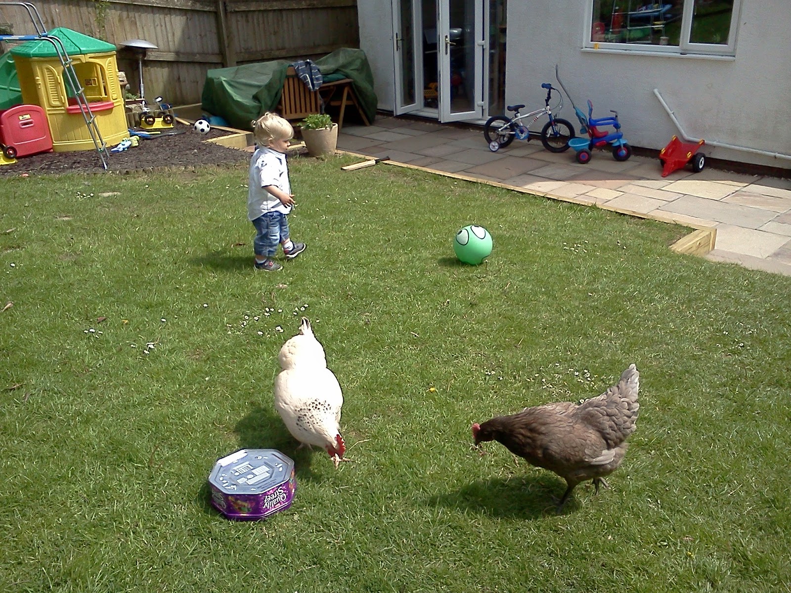 Homers Homestead The Back Garden Poultry Hatcher Mud Mud Mud in the