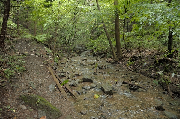 多摩の横山から高尾山 案内川上流端