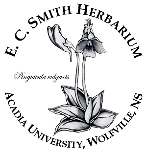 E. C. Smith Herbarium • Acadia University