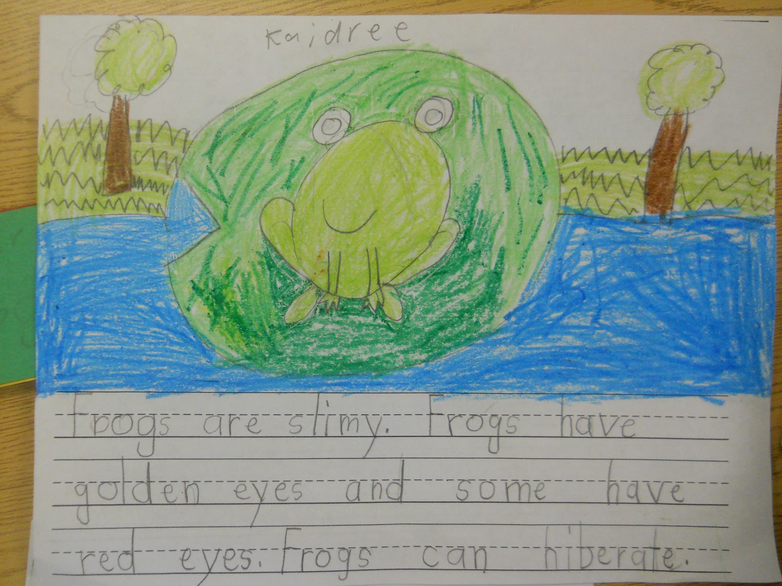 Frog sentence for class 3 image