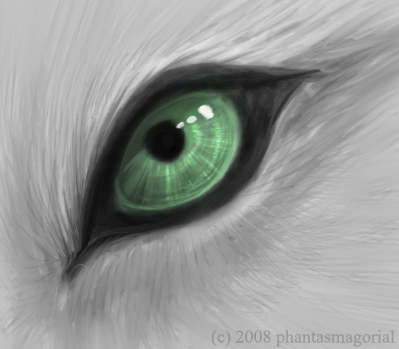 http://3.bp.blogspot.com/-L1zJ1jXYi_w/TWLx9A1eNtI/AAAAAAAAAzw/EdKJmrh9nXg/s400/Wolf__s_Eye_by_phantasmagorial.png