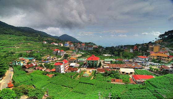Tam đảo ( Vĩnh Phúc) Tam đảo ( Vĩnh Phúc)