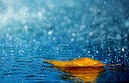 High Resolution Wallpapers For Android