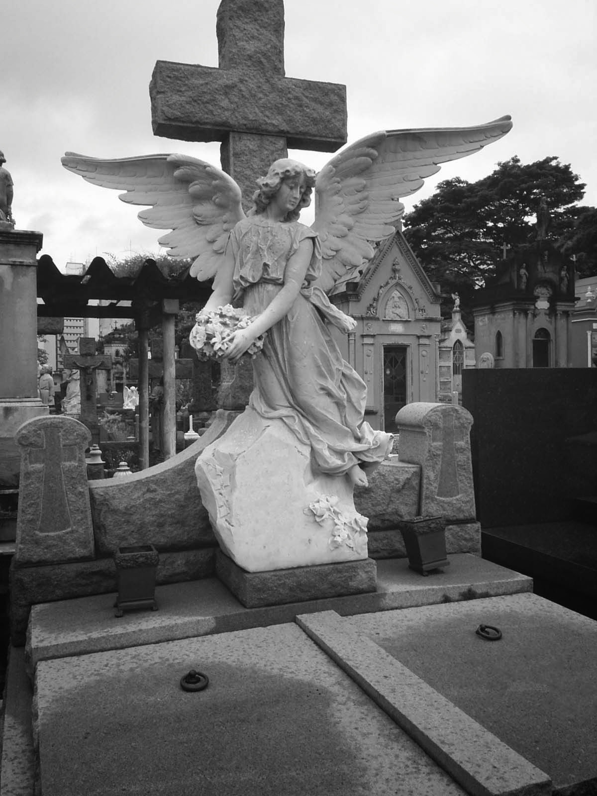 Resultado de imagem para cemitério
