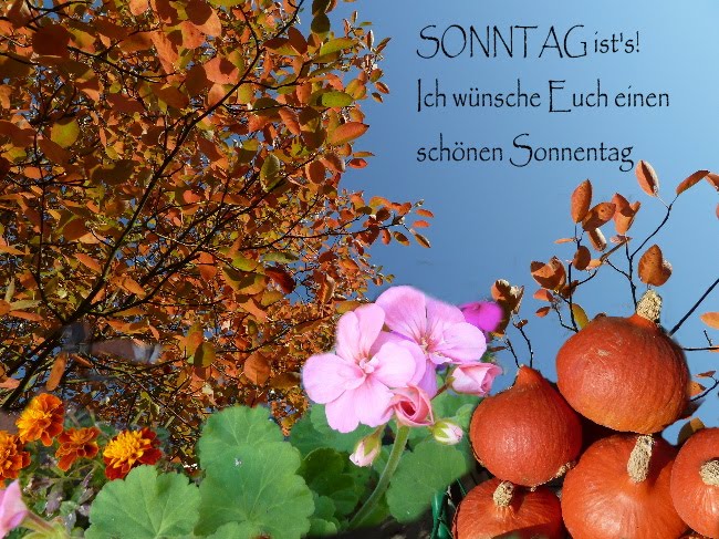 Willkommen in Renates Eckchen Ich wünsche Euch einen schönen SONNTAG