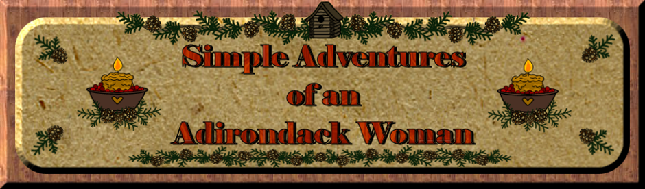 Simple Adventures of an Adirondack Woman