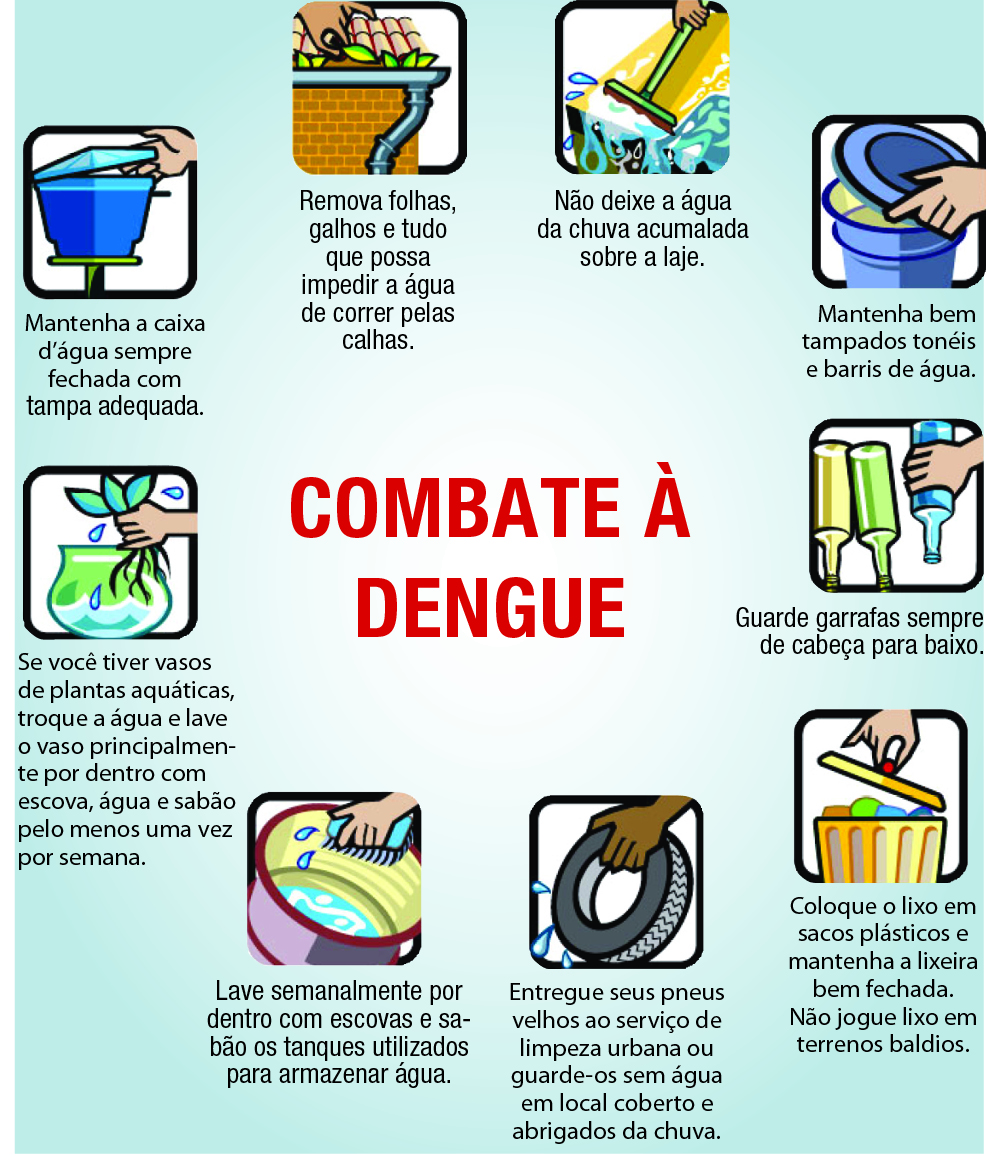 Informes da Dengue em Belo Horizonte Como combater?!