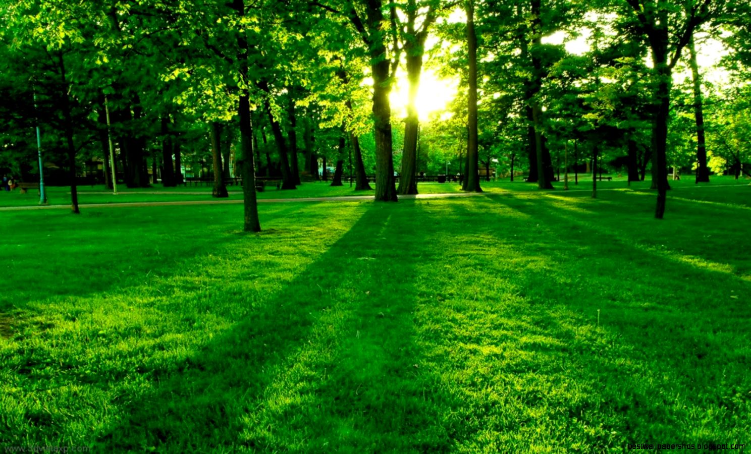 Japan Green Nature Wallpapers Free for Desktop Backgrounds Japan Green Nature Wallpapers Free for Desktop Backgrounds