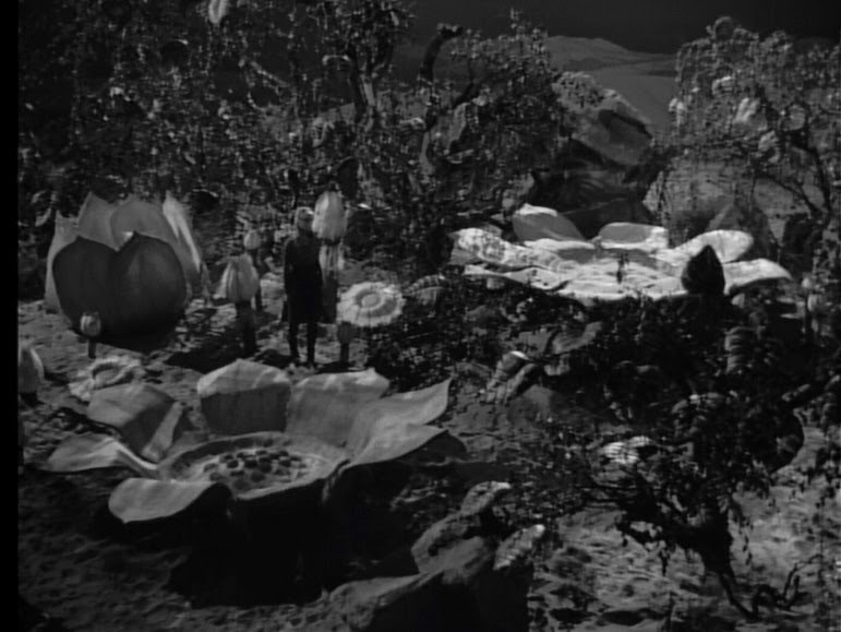 Image result for "lost in space" judy plant