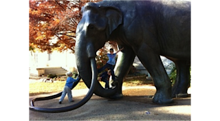 child-friendly public art in Dallas