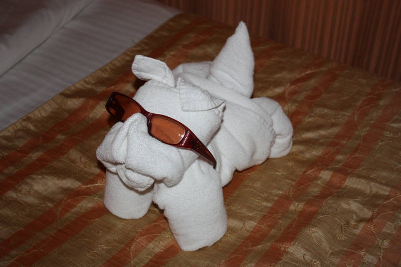 Christy Robbins: How to Make Towel Animals