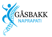 Gåsbakk Naprati