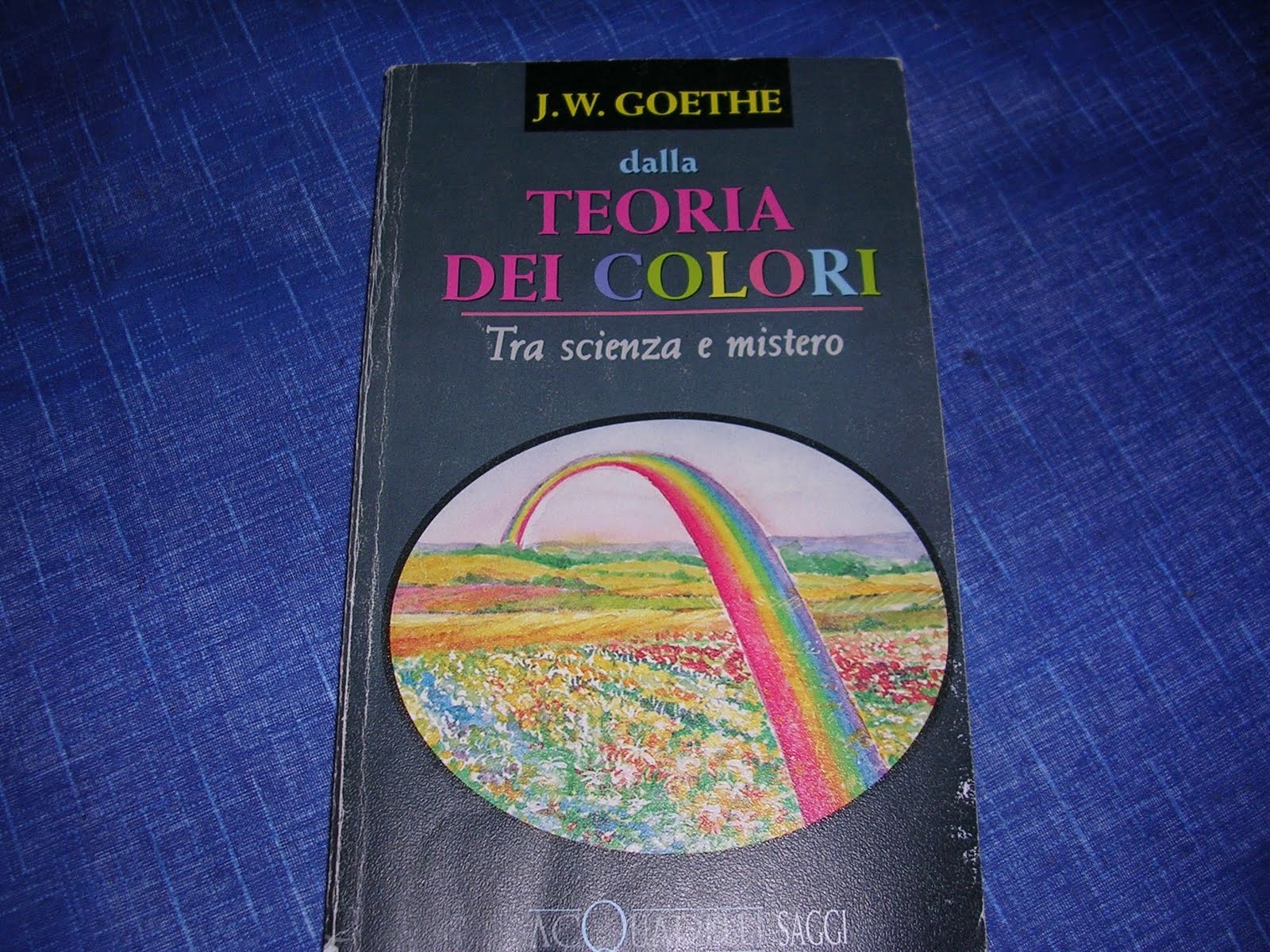 VUOI UN LIBRO: Dalla TEORIA DEI COLORI J. W. Goethe