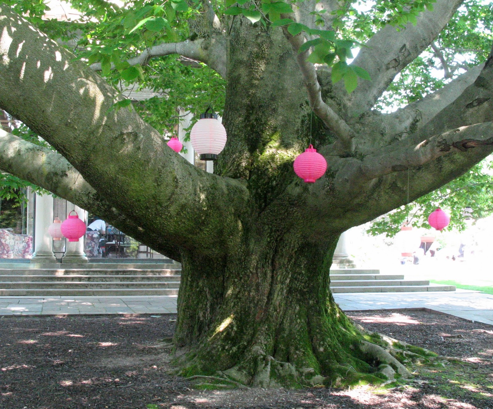 Idyll Haven IU Converges on Planting Fields Arboretum and Old Westbury