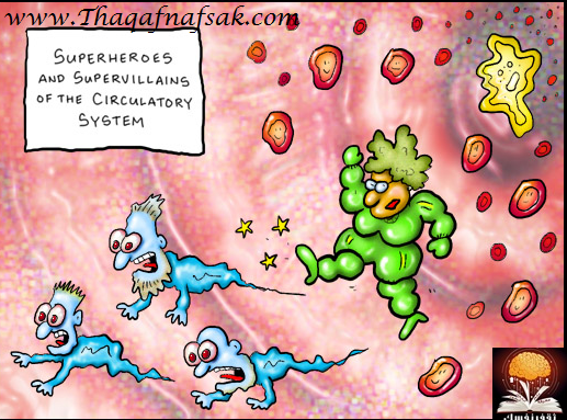 ���� ������ �� ����� ������ ������� ���� ������ �� ���� ������ ������ �������