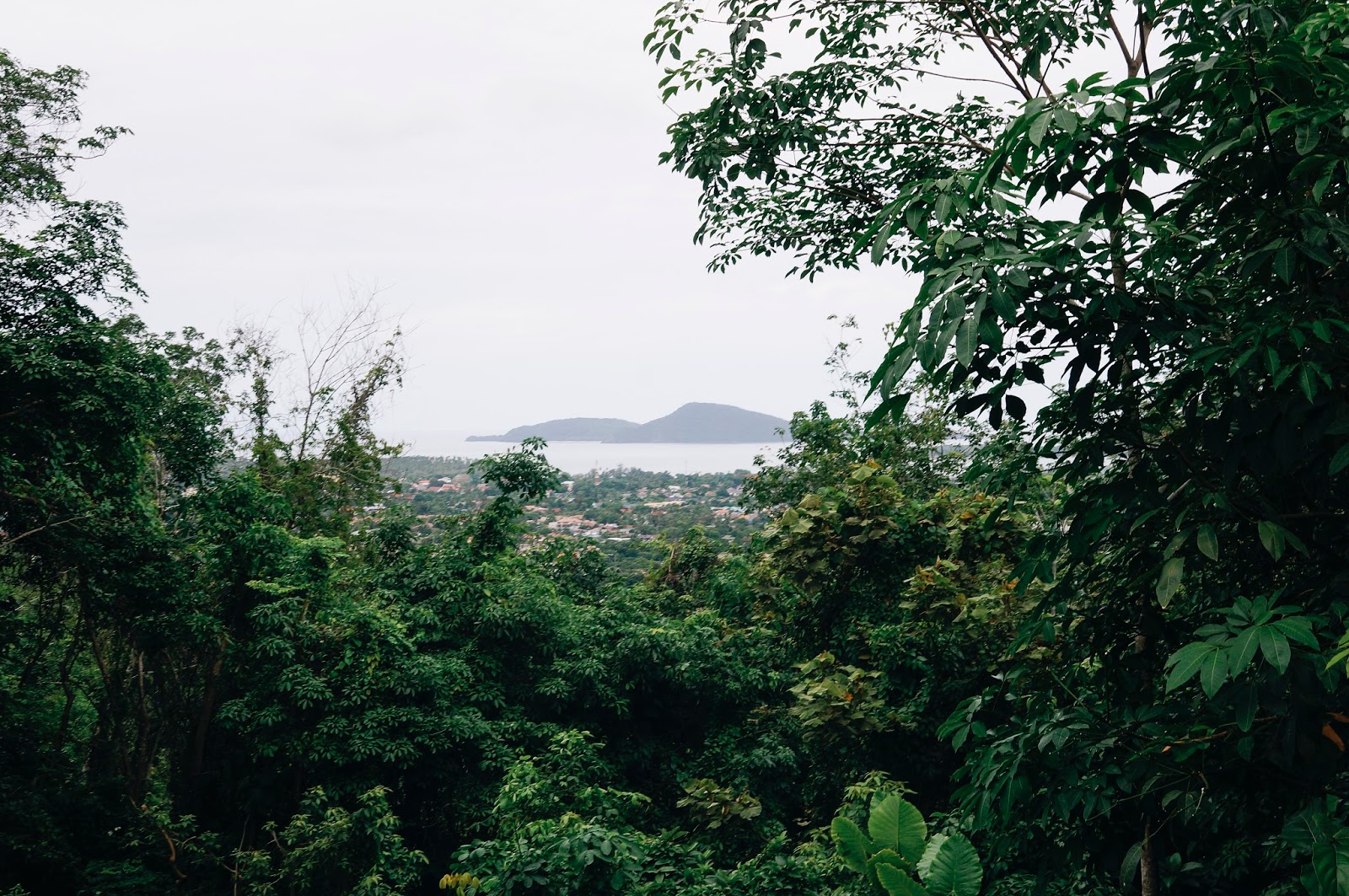 PHI PHI ISLANDS & RIDING ELEPHANTS Lady Lund Day to Day