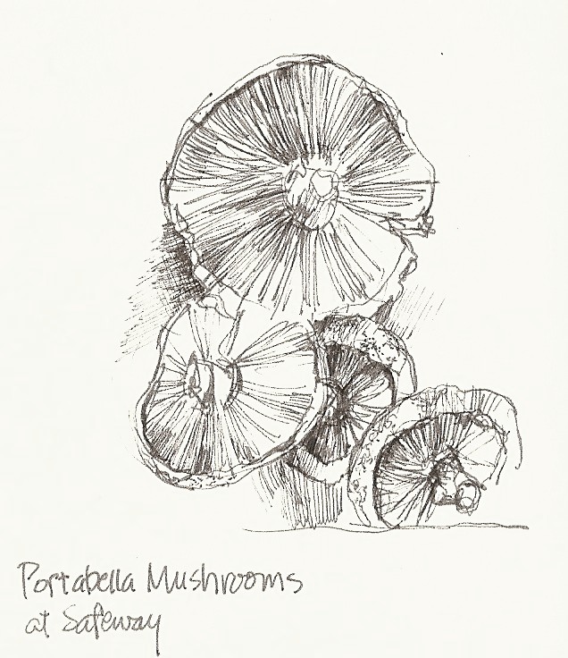 mushrooms to draw