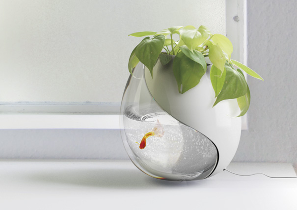 modern small fish tank modern small fish tank