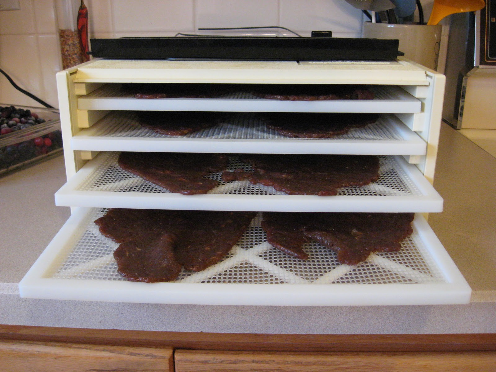 My Tiny Oven Making Jerky