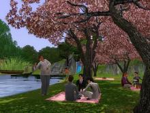 Jgarden-hanami.jpg