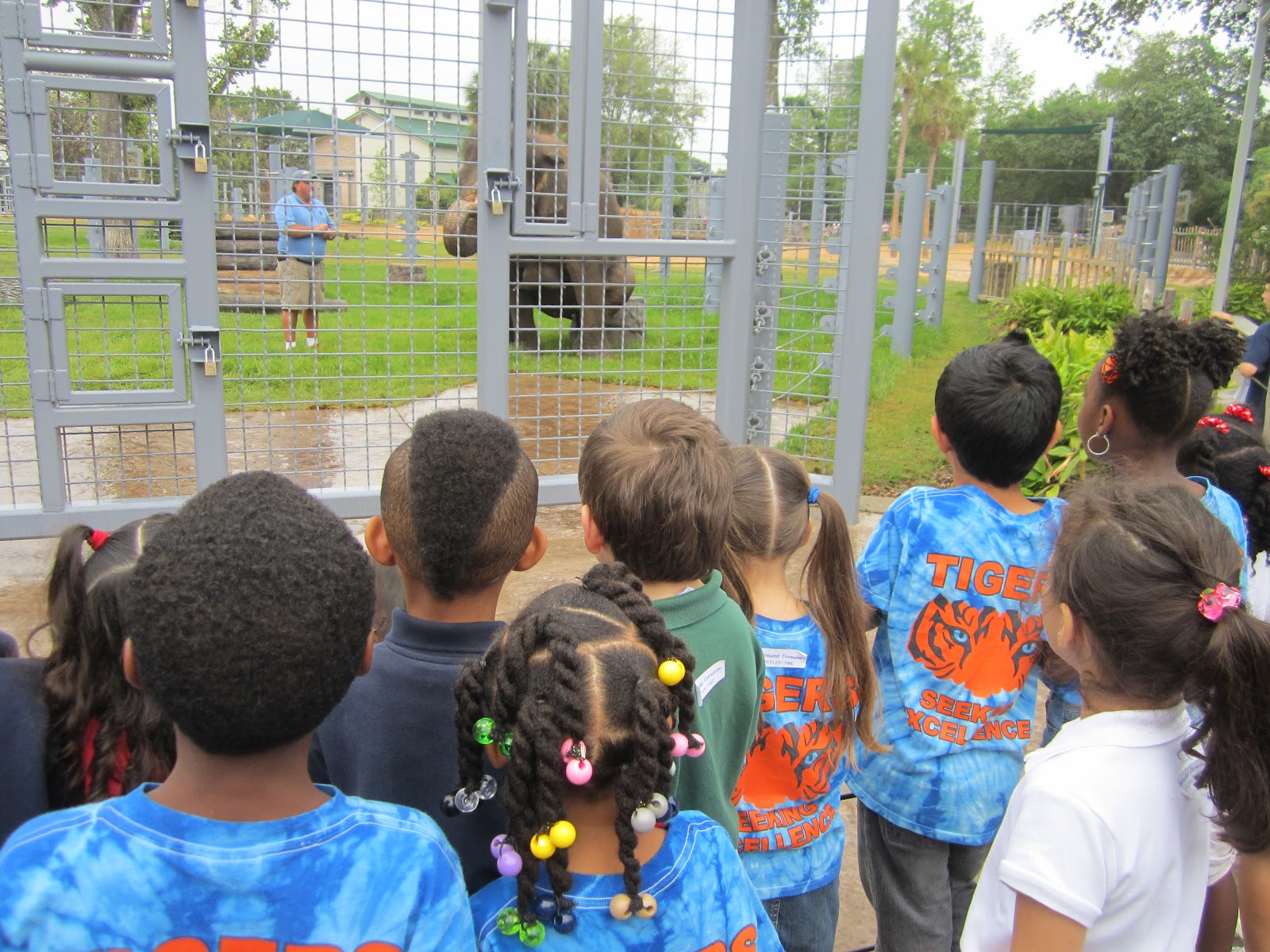 Kindergarten is "Kool": Kindergarten Field Trip to the Houston Zoo