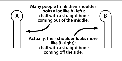 Shoulder bone -- actual vs imagined