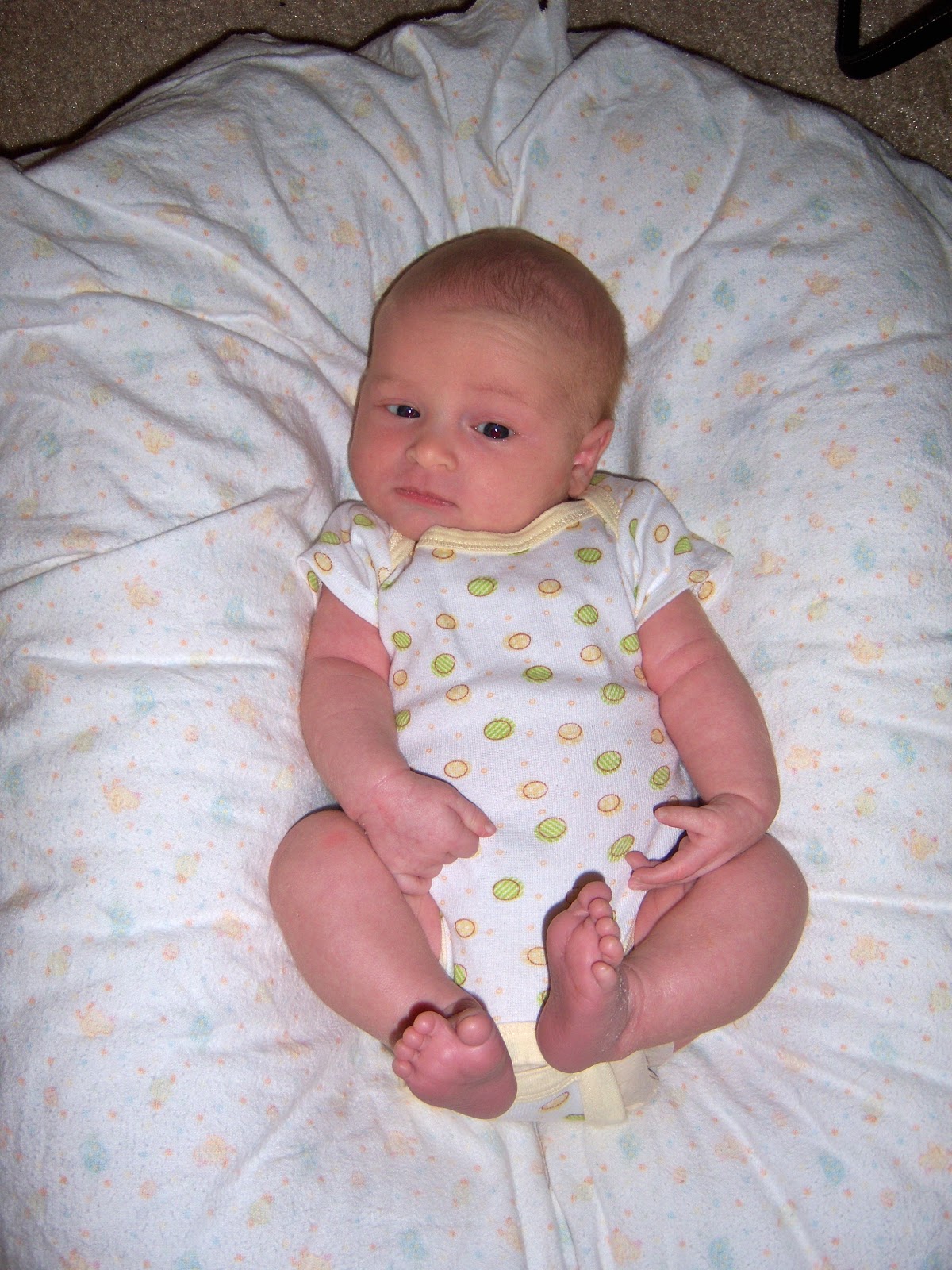 Healing Cuisine Product Review Snuggle Me Cushion