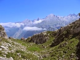 Picos d'Europa