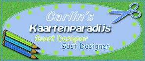 Gastdesigner