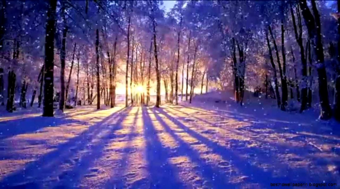 Winter Sunset Animated Desktop Wallpaper Dreamscapes Winter Sunset Animated Desktop Wallpaper Dreamscapes