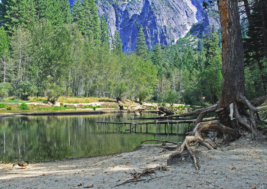 IMAGE: http://3.bp.blogspot.com/-L9RHgHRFXMs/TpfarB5O3sI/AAAAAAAAAPI/rBNN5SMScGs/s1600/IMG_9647.jpg