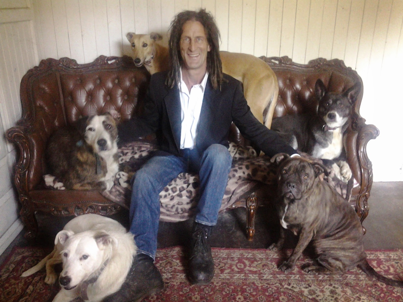 The Boy Who Talked To Dogs Media Resources What a pack of stray dogs