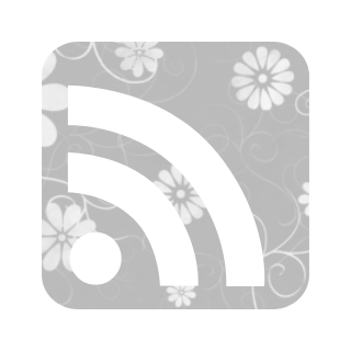 rss feed