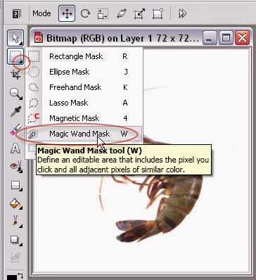 how to use magic wand tool in coreldraw how to use magic wand tool in coreldraw