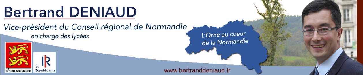 Bertrand Deniaud - Vice-président de la Région Normandie