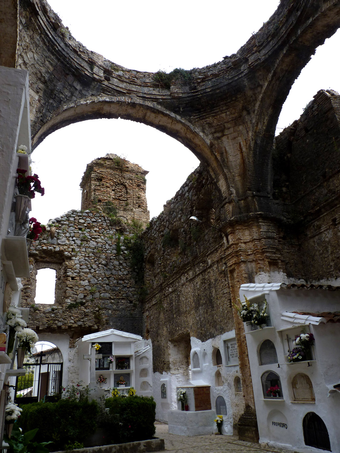 Stultifer . Ciudad de los muertos Villaluenga del Rosario