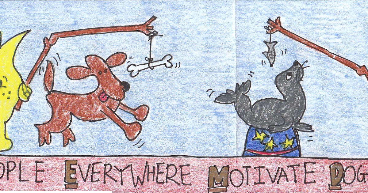 Kiran Makes . . . PEMDAS