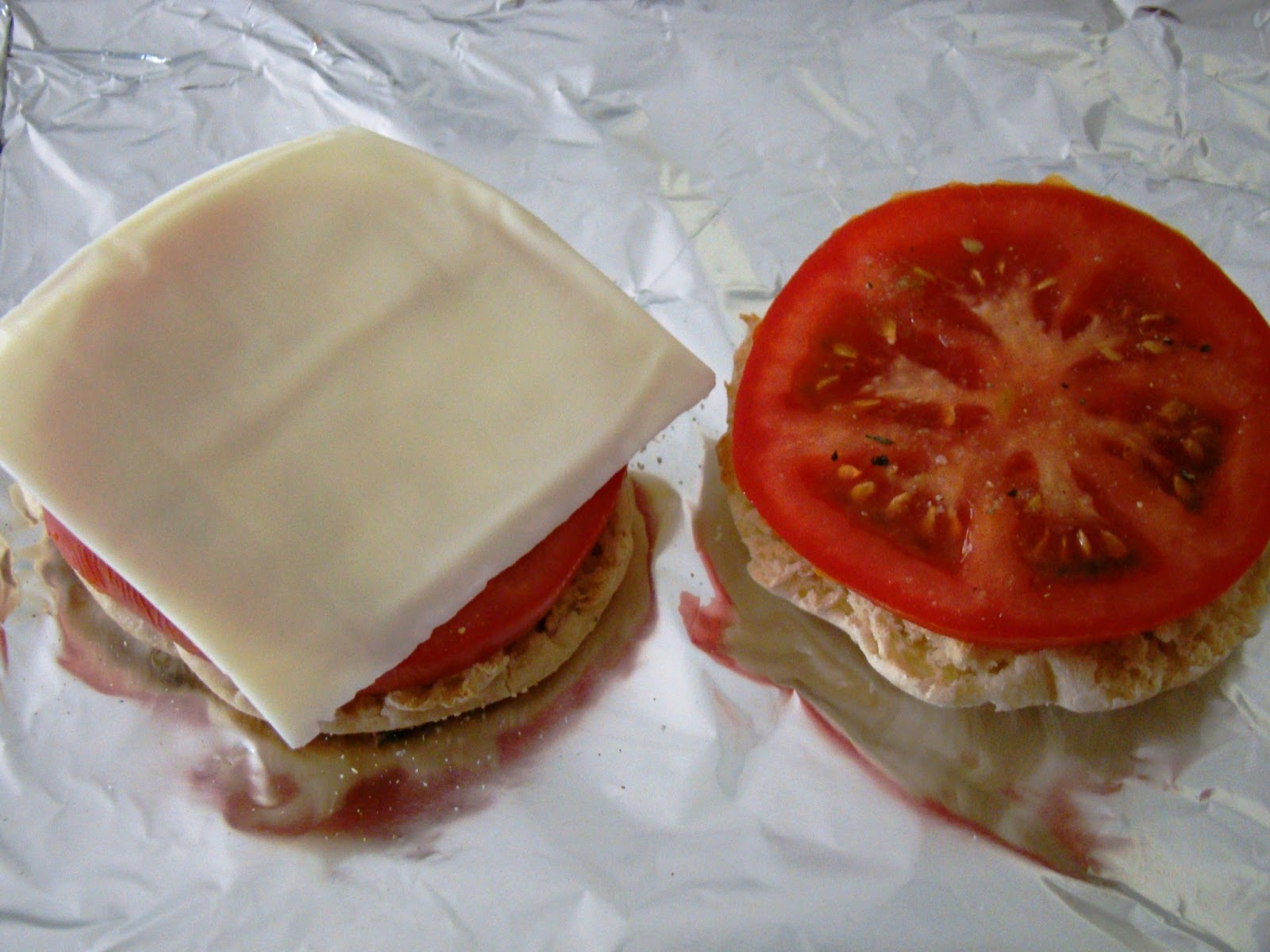 Soup Spice Everything Nice Tomato and Swiss Cheese Melt