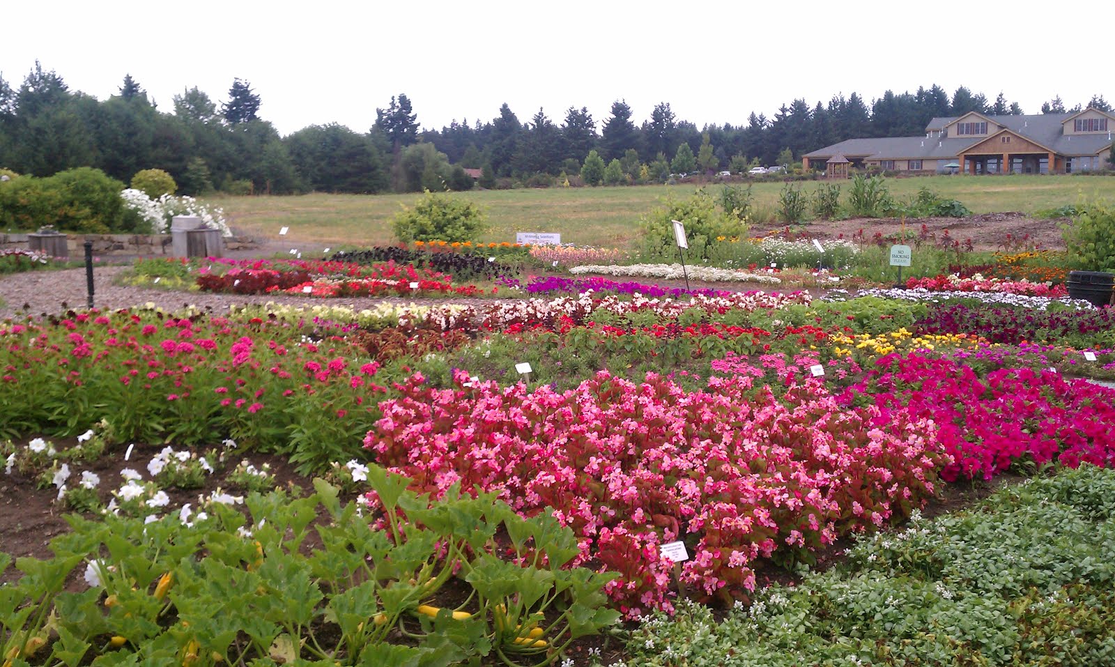 California and Oregon (Summer 2012): Silverton, Oregon - Oregon Garden