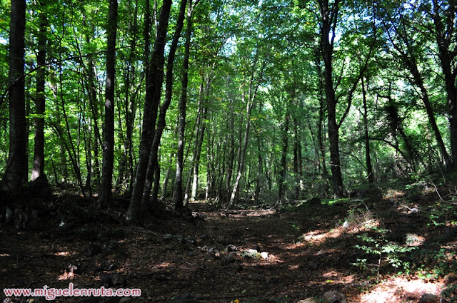 La Garrotxa