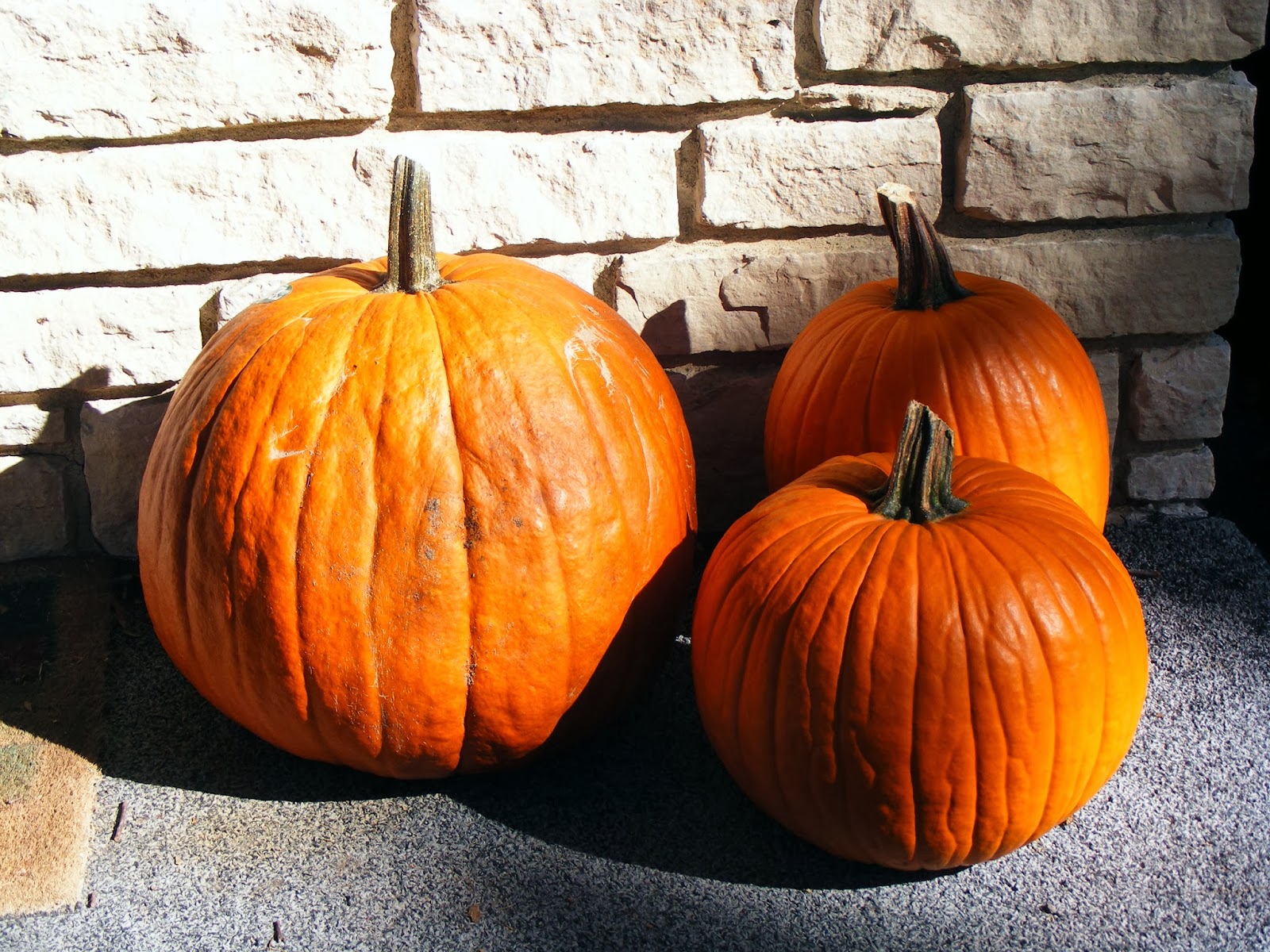 Kidspert Cookie Cutter Pumpkin