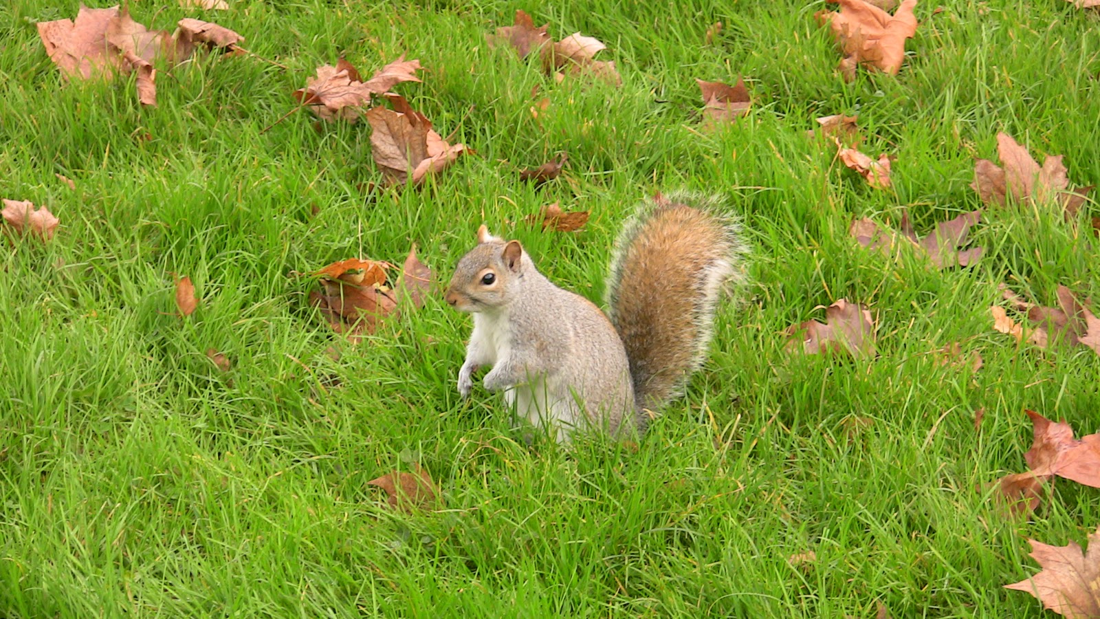 finissez vos phrases ou une heureuse rencontre