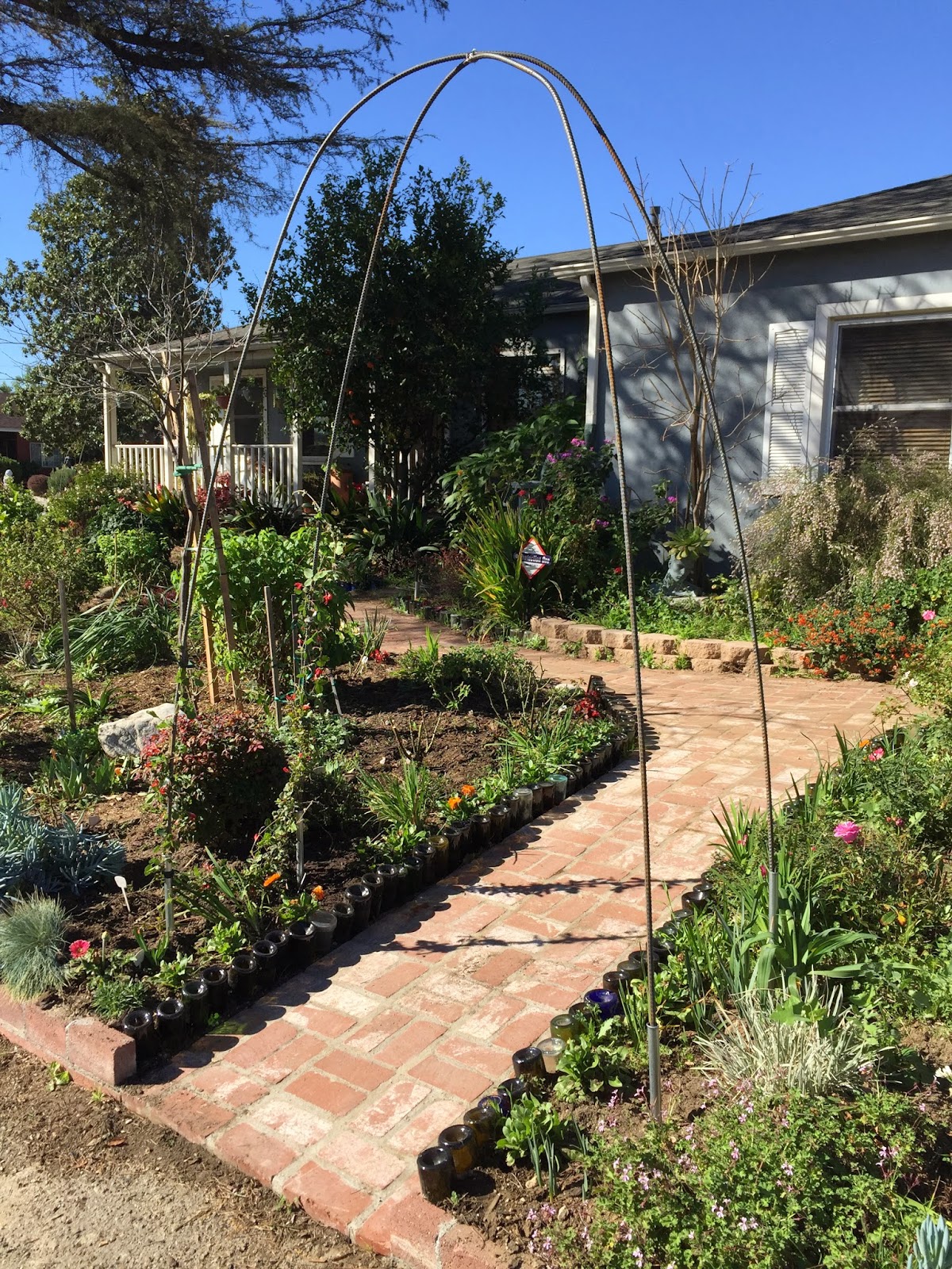 Aprille's SoCal Gardening Rebar Arches & Rose Pruning Update