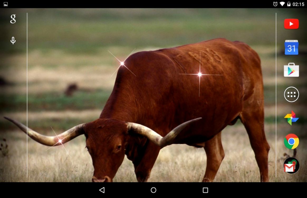 Bulls Live Wallpaper Android Apps and Tests AndroidPIT Bulls Live Wallpaper Android Apps and Tests AndroidPIT